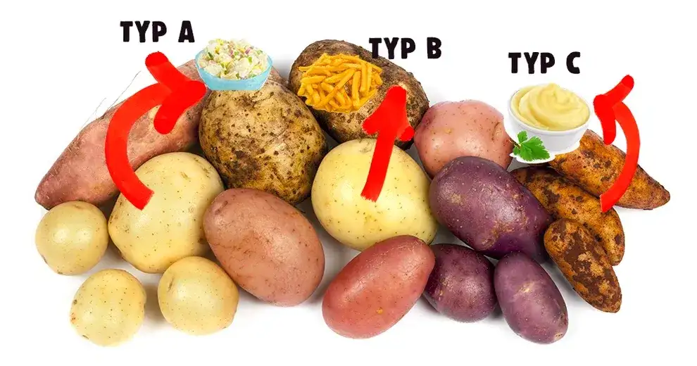 Jakie ziemniaki na sałatkę? Odkryj idealne rodzaje do sałatek