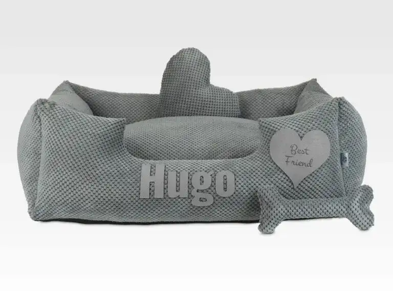 Jakie legowisko dla labradora zapewni maksymalny komfort i wsparcie