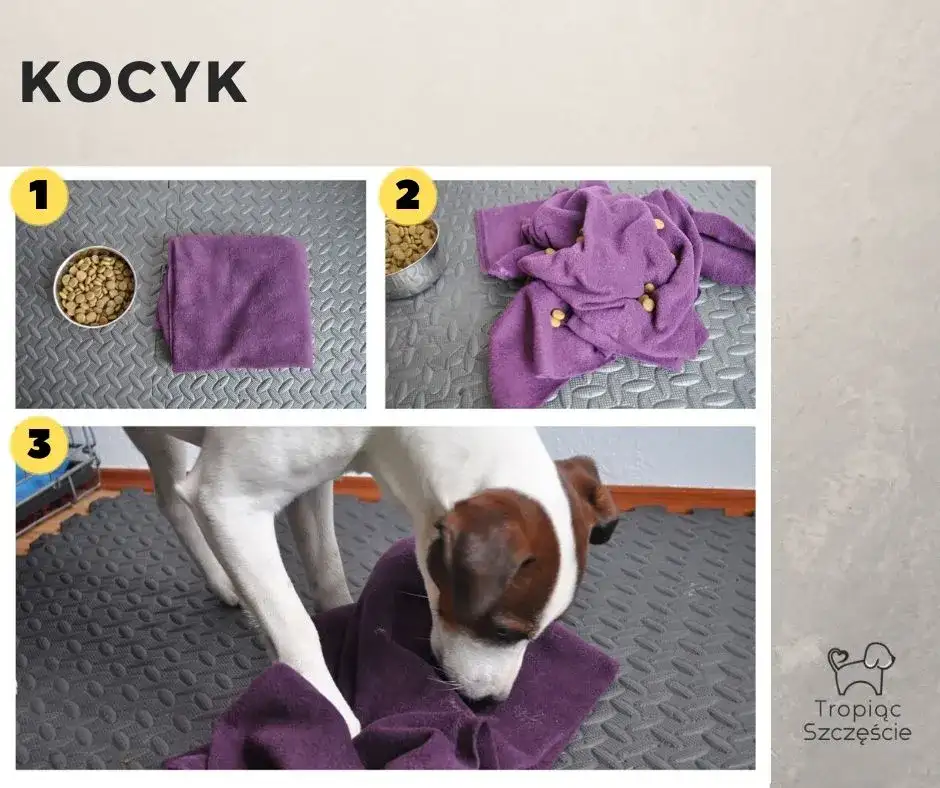 Jak zrobić zabawkę dla psa? DIY pomysły na super zabawę!