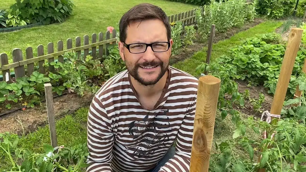 Jak uprawiać pomidory w gruncie - uniknij najczęstszych błędów