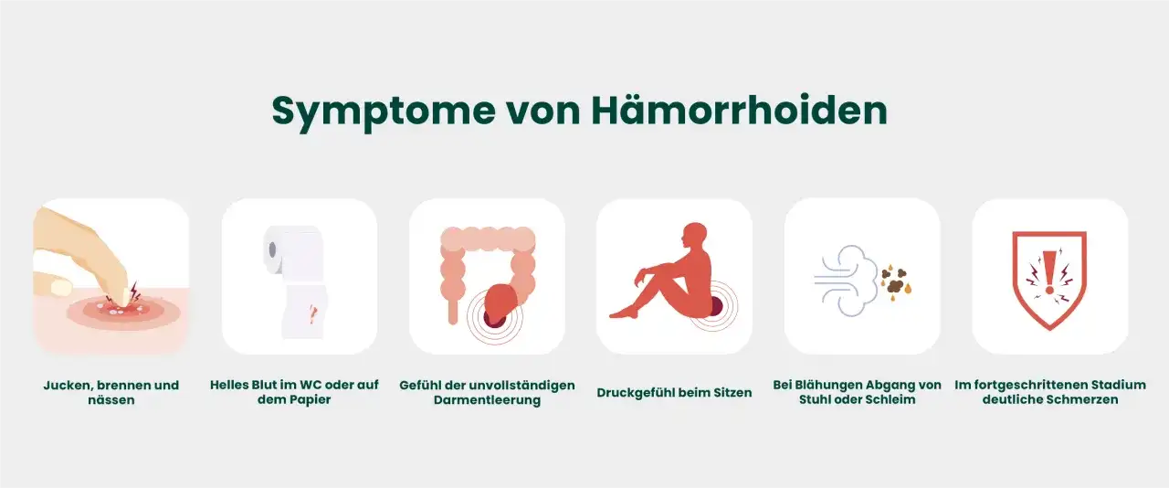Hämorrhoiden Symptome: Erkennen Sie die Anzeichen und vermeiden Sie Schmerzen