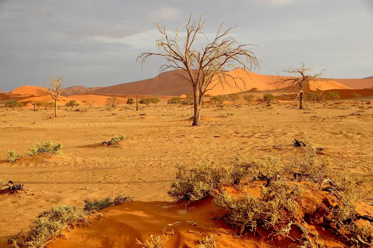 Namibia czy jest bezpiecznie? Odkryj zagrożenia i porady dla turystów