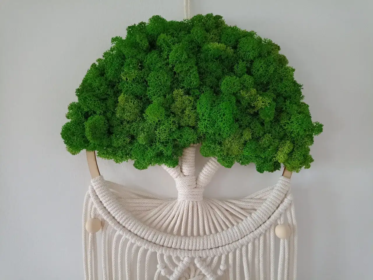 Jak dbać o mech dekoracyjny, aby zachował świeżość i piękno