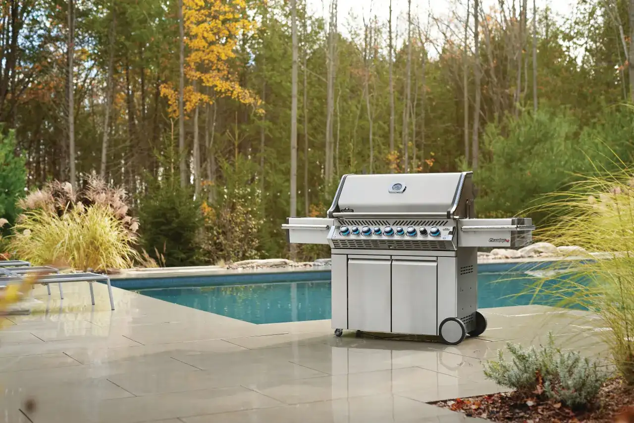 Najlepsze grille do ogrodu: wybierz idealny model dla siebie