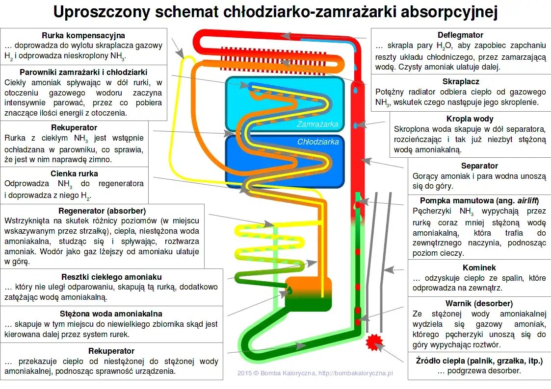 Jak działa zamrażarka? Odkryj sekrety chłodzenia i oszczędzaj energię