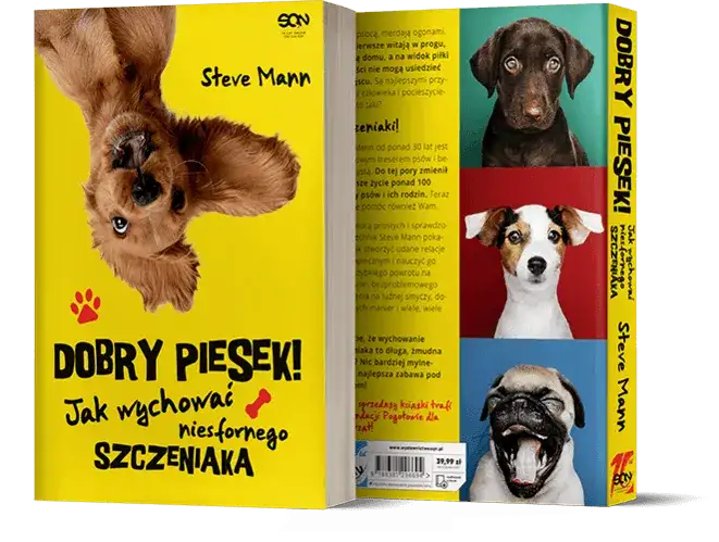 Jak wychować niesfornego szczeniaka, aby był dobrym pieskiem w każdym domu