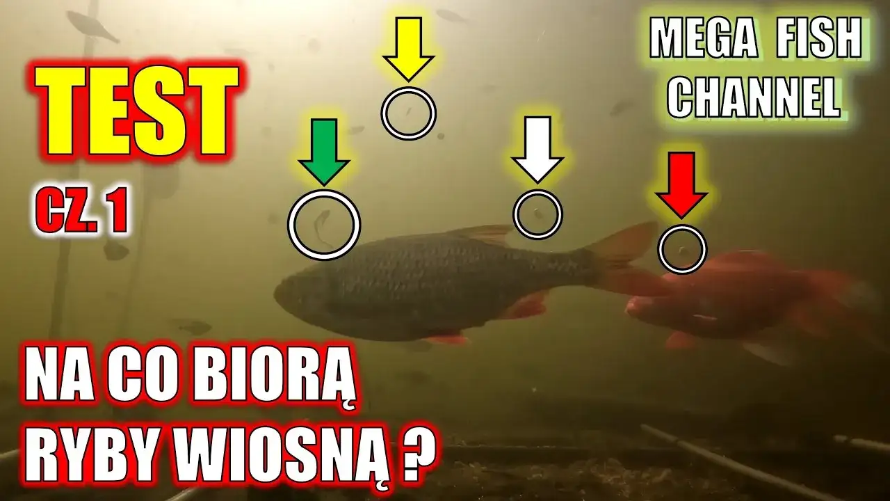 Na co łowić ryby? Sekrety przynęt i zanęt Damiana Baranowskiego