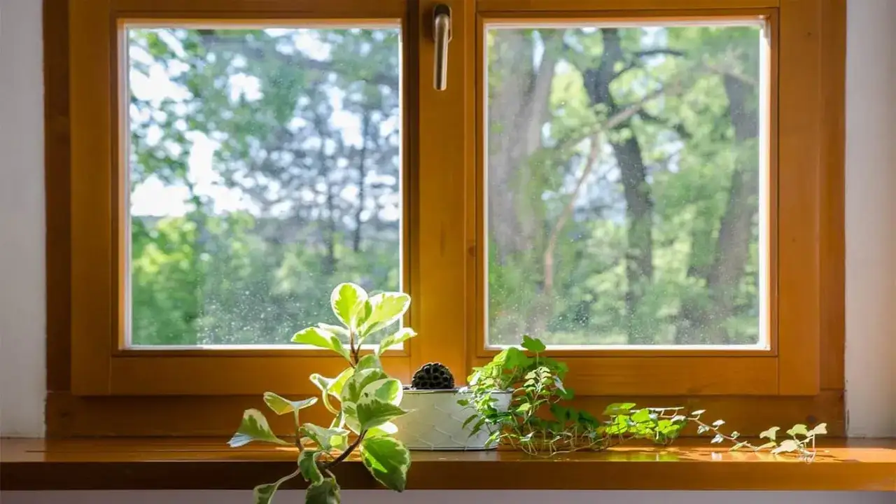 Czym konserwować okna drewniane: 8 skutecznych metod ochrony