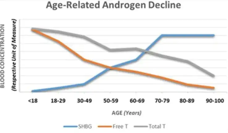 Testosteron przed czy po treningu? Maksymalizuj wyniki!