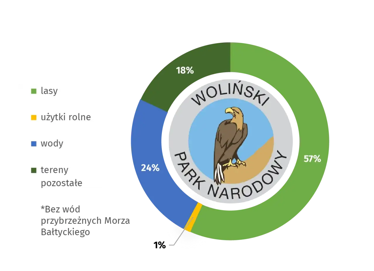 Co jest symbolem Wolińskiego Parku Narodowego? Poznaj orła bielika
