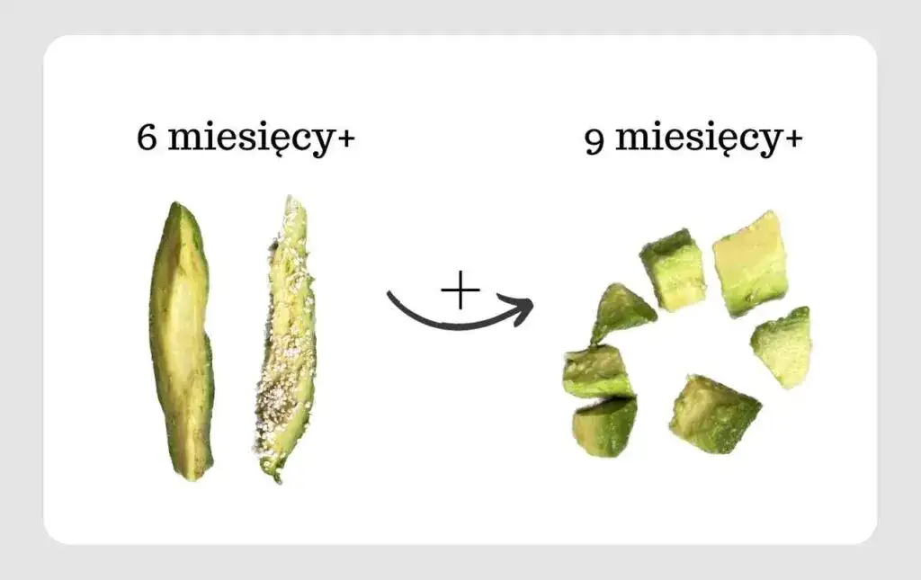 Jak pasta z awokado dla niemowlaka może zapewnić start malucha?