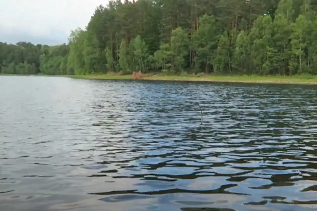 Jezioro Linowskie: Odkryj tajemnice i zagrożenia pięknych jezior