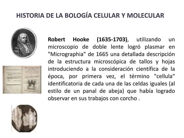 ¿Quién descubrió la biología molecular y por qué es tan relevante?