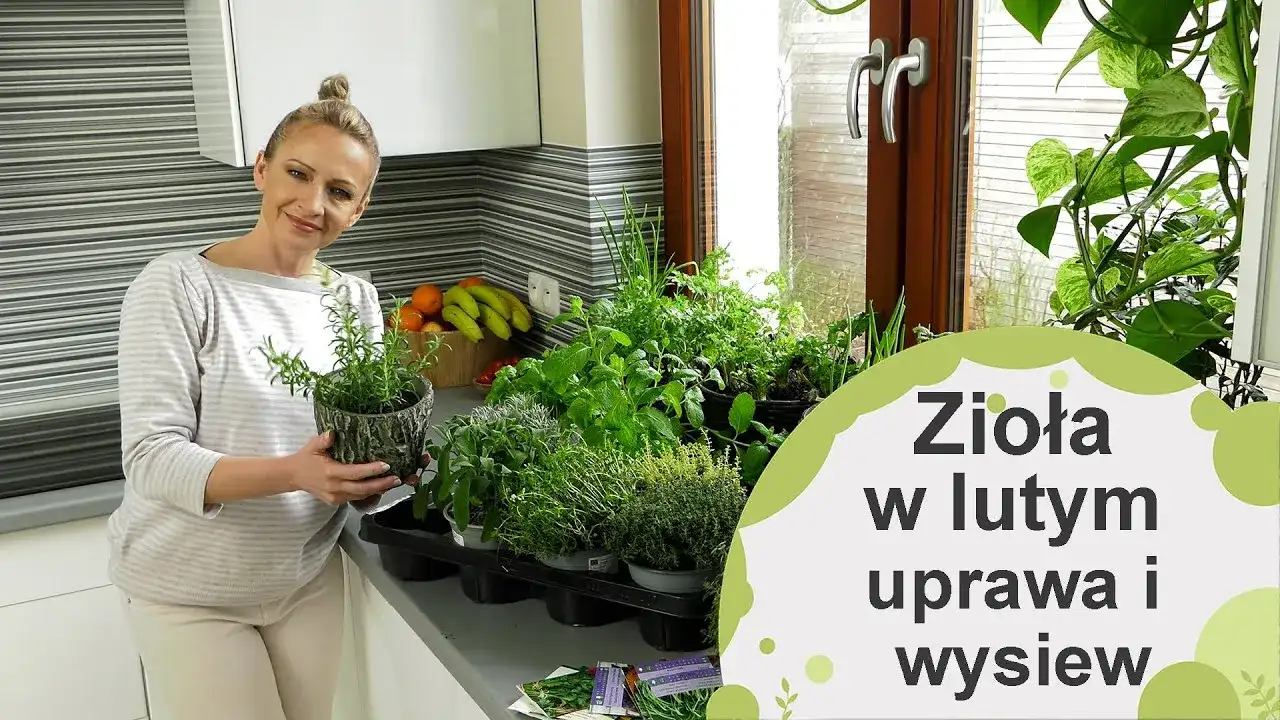 Jak uprawiać zioła w domu - proste sposoby na świeże przyprawy