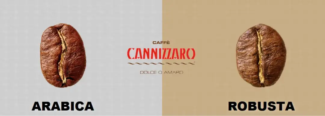 Która kawa lepsza: arabica czy robusta? Poznaj różnice i wybór