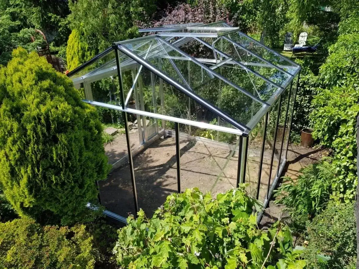 Co można uprawiać w szklarni? Odkryj najlepsze rośliny i techniki