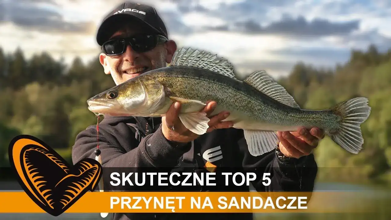 Przynęty na sandacze: Sekrety skutecznego łowienia. Poradnik eksperta