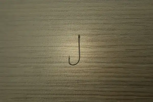 Jak dobrać haczyk gruntowy? Poradnik dla wędkarzy