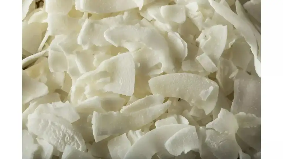 Wiórki kokosowe dla psa - poznaj bezpieczne dawkowanie i korzyści zdrowotne