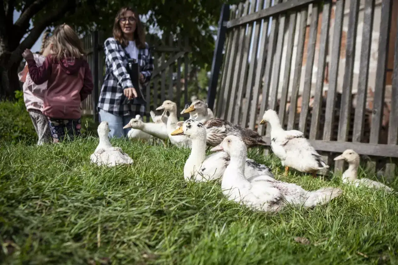 Jak skutecznie pozyskać środki na agroturystykę i uniknąć błędów