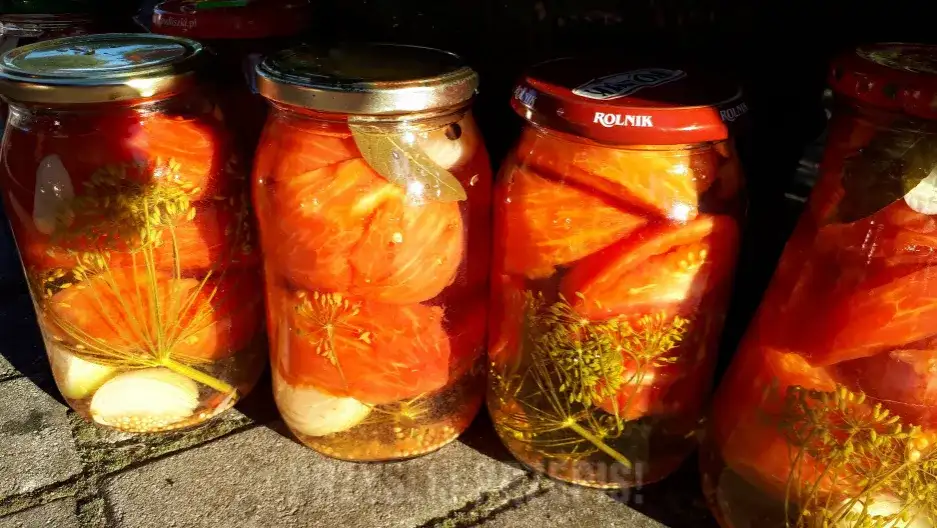 Jak zrobić kiszone pomidory po gruzińsku?