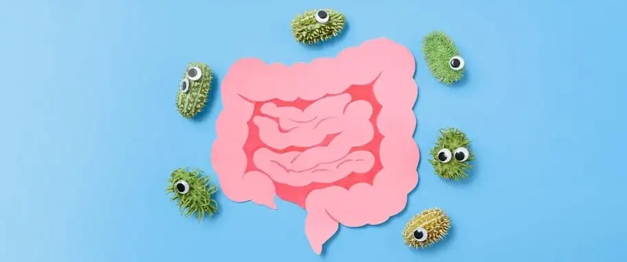 Badanie flory bakteryjnej jelit - cena i refundacja