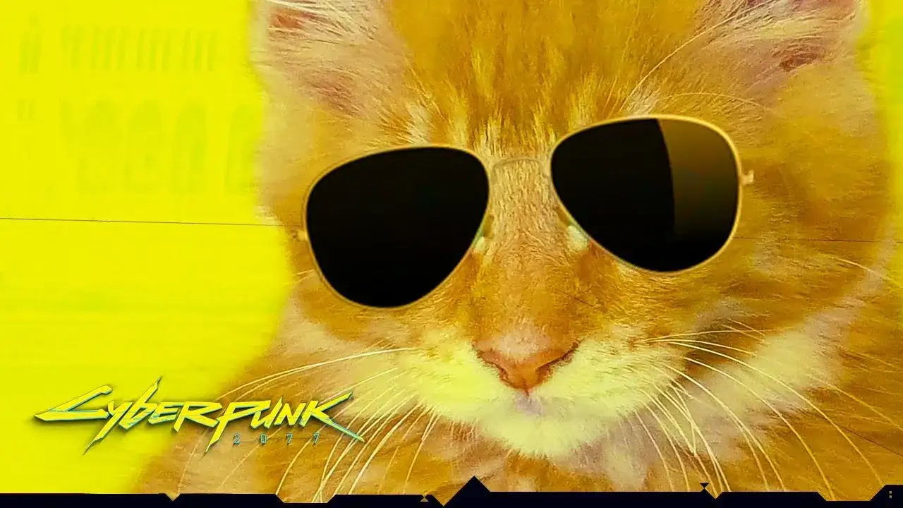 Cyberpunk kot: nietypowy przewodnik po adopcji futurystycznego przyjaciela