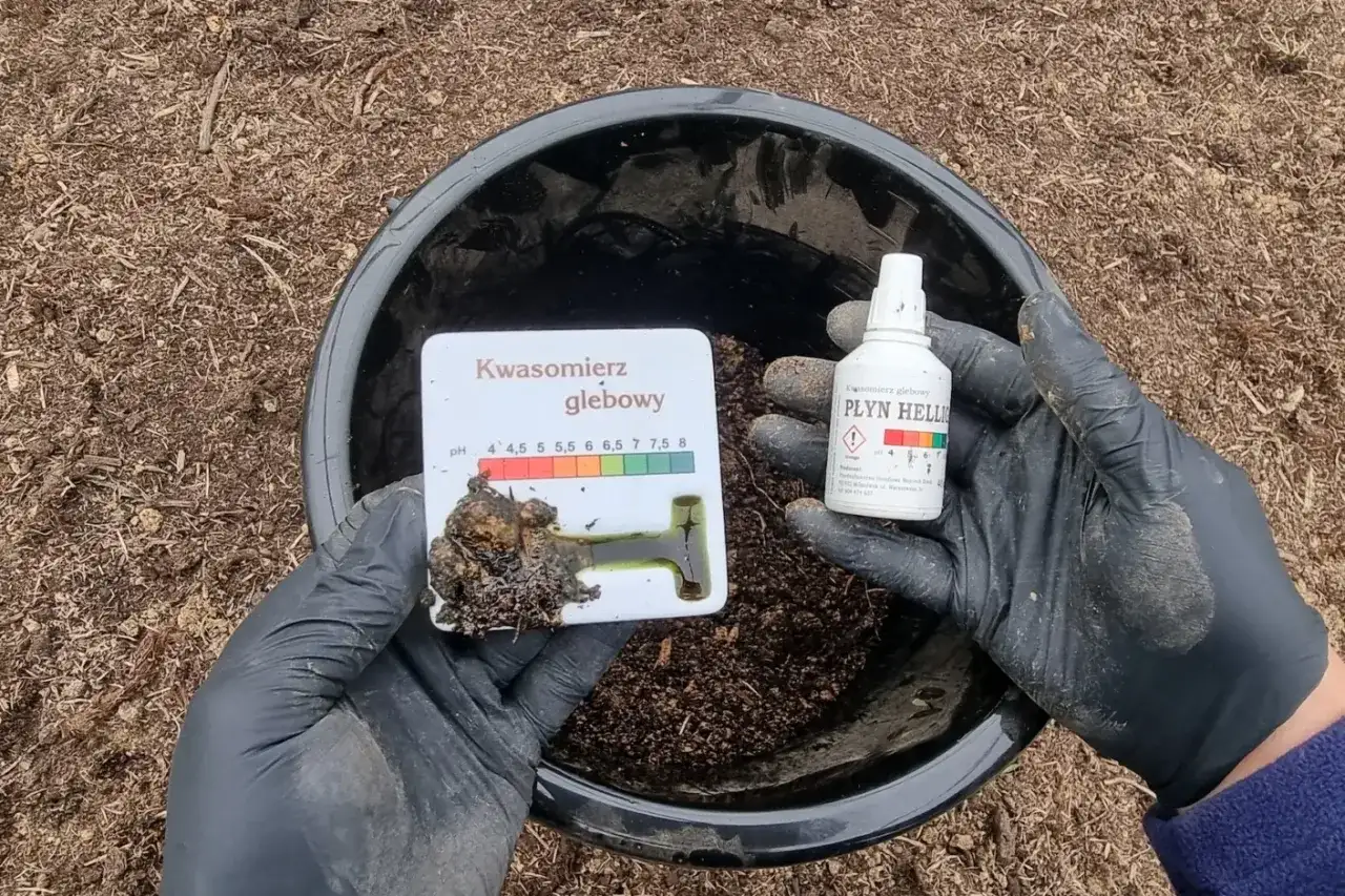 Test gleby kwasomierzem. Płyn Hellige wskazuje, jak odkwasić glebę, by uzyskać optymalne pH dla roślin.