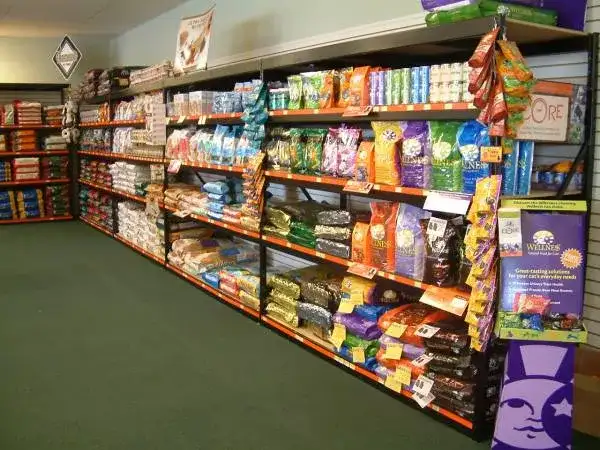 Sklep zoologiczny: Realne zarobki i koszty. Czy to się opłaca?