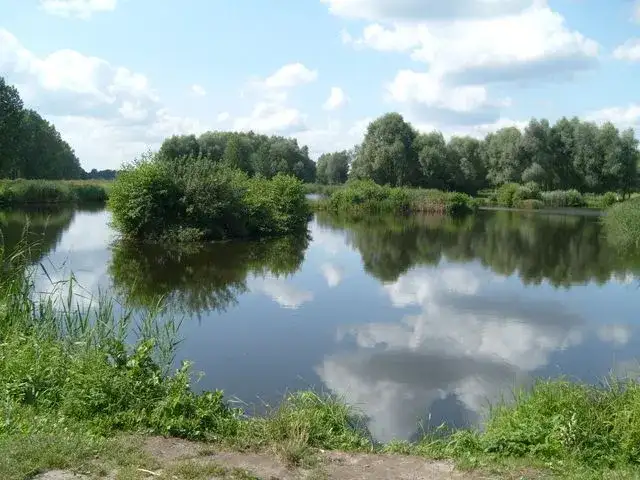 Łowisko Bolimów - idealne miejsce na wędkowanie i relaks w naturze