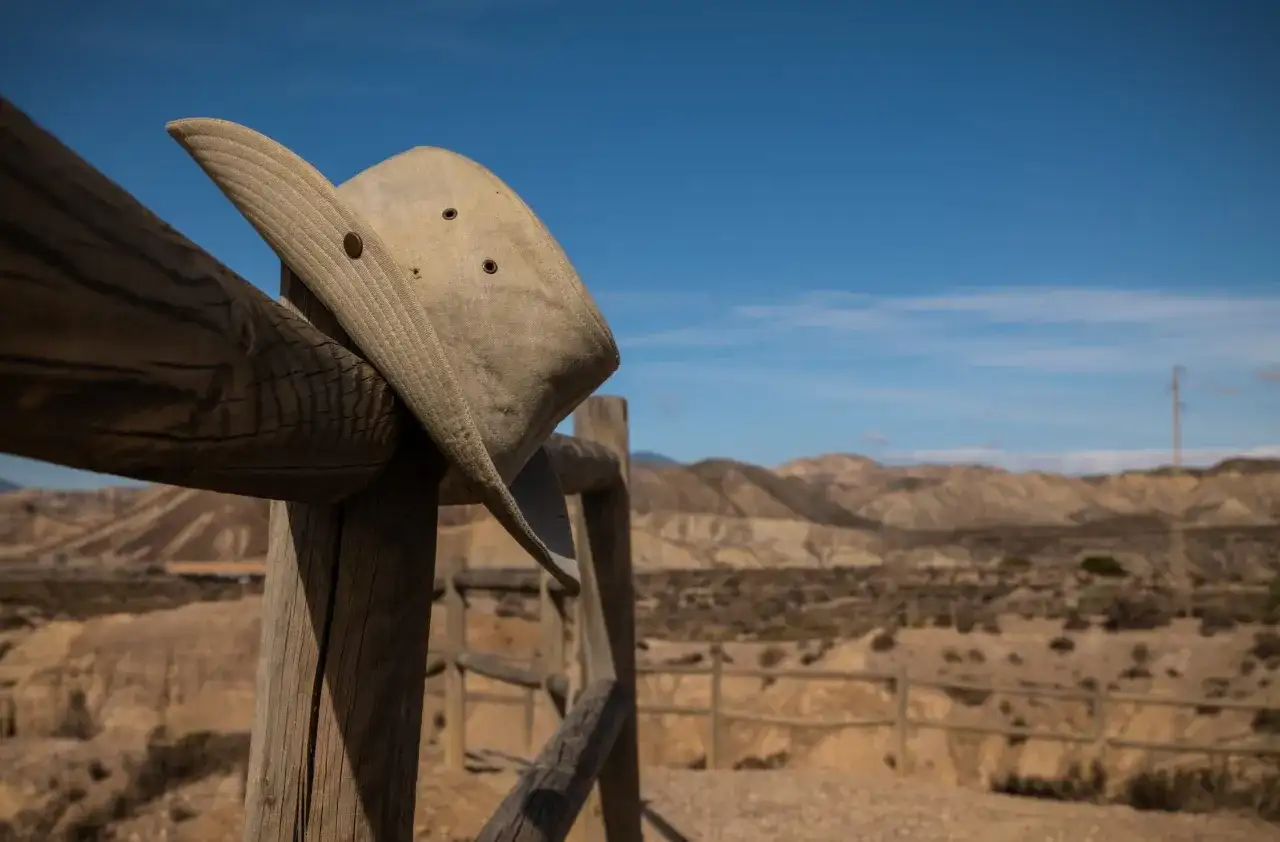 AriZona: Co kryje kultowa puszka? Historia, smaki i gdzie kupić w PL.