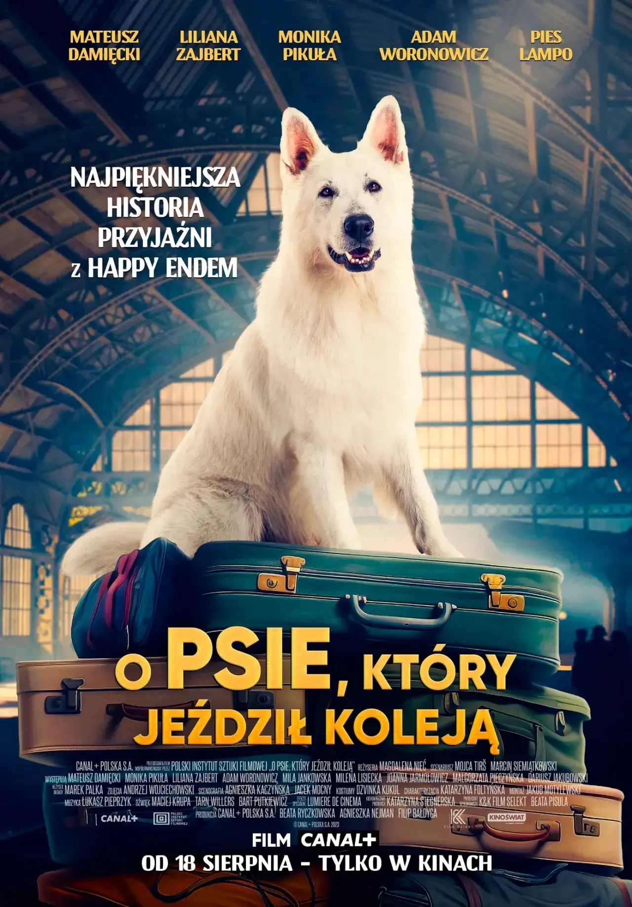 Gdzie obejrzeć film o psie który jeździł koleją online i za darmo
