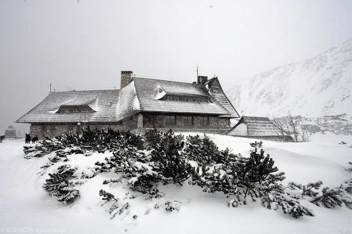 Ile kosztuje nocleg w Zakopanem? Ceny, porady i oszczędności!