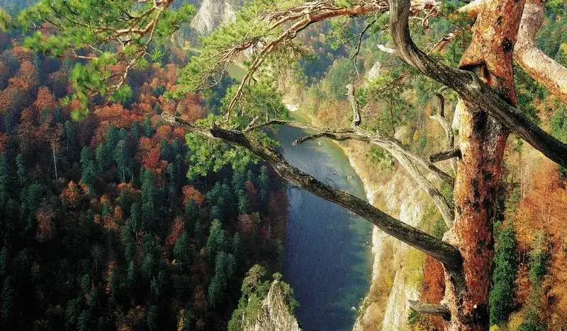 Sokola Perć – odkryj trudności i atrakcje tego szlaku górskiego