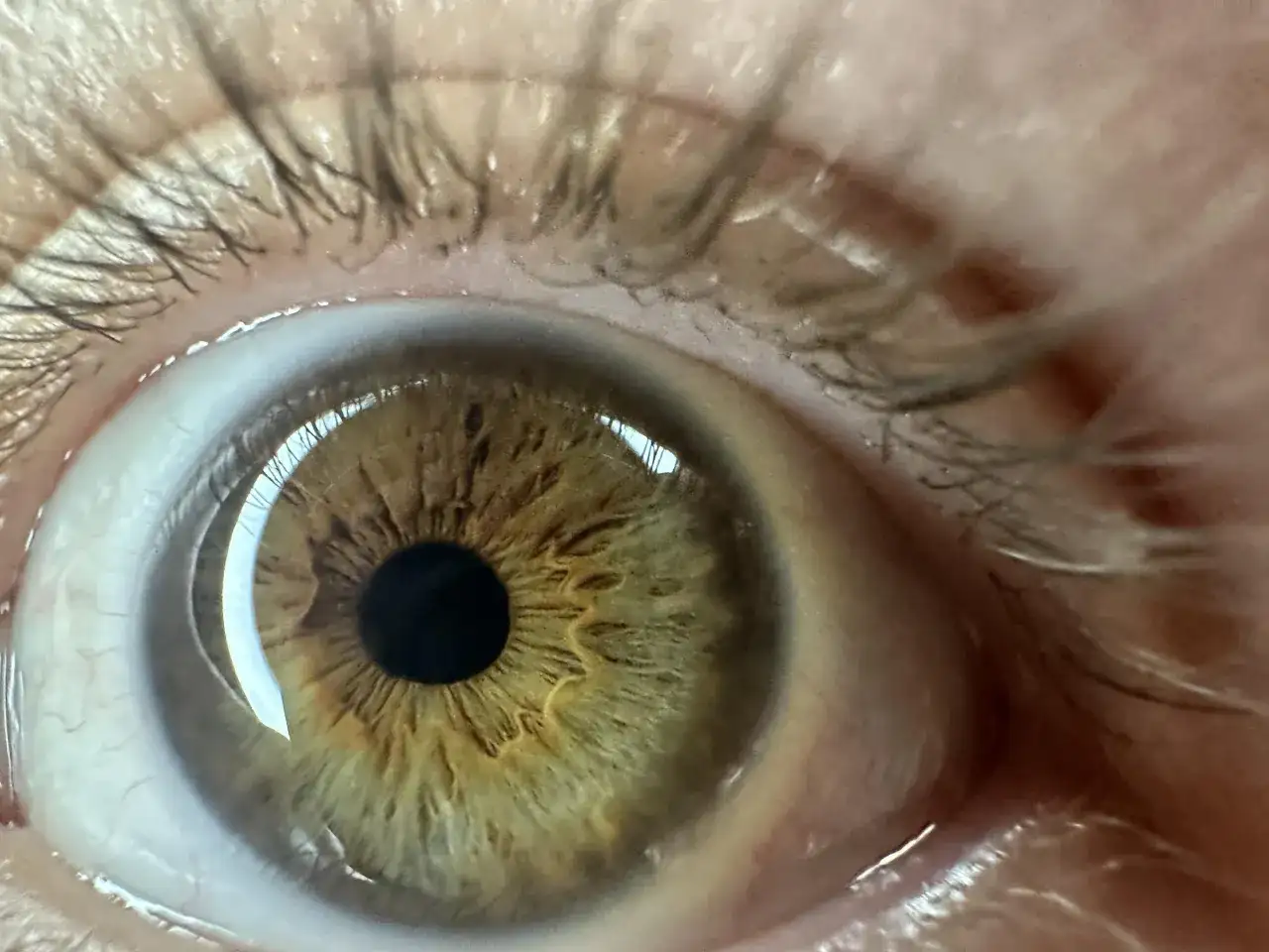 Jak zrobić zdjęcie oka telefonem? Odkryj sekrety makro.