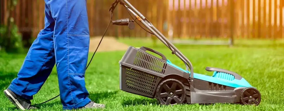 Kosiarka z mulczowaniem: Ranking 2026 i poradnik Ksawerego Maciejewskiego