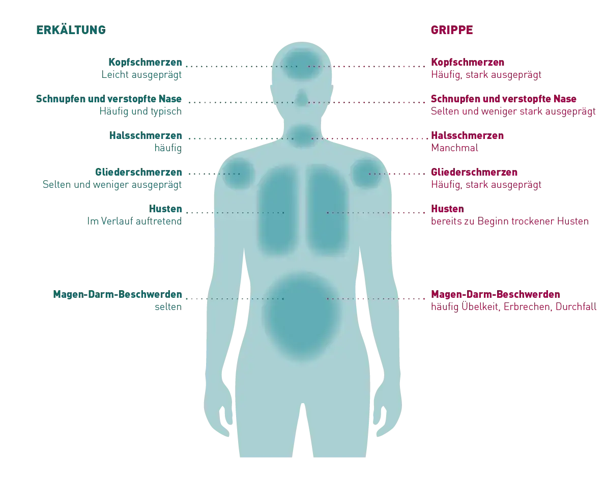 Symptome aktuelle Grippe: So erkennen Sie die gefährlichen Anzeichen