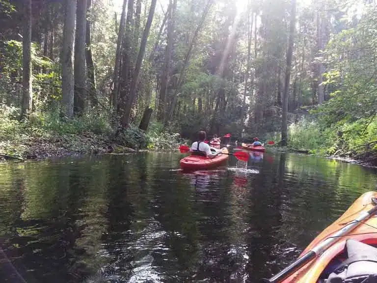Spływ kajakowy Olsztyn: Trasy, Ceny i Poradnik Organizacyjny