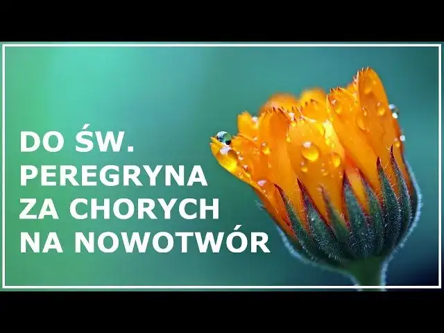 Modlitwa do świętego, który uzdrawia z raka – jak prosić o pomoc?