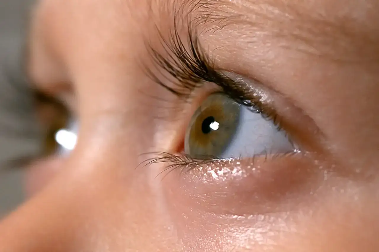 Zbliżenie na ludzkie oko z zieloną tęczówką i długimi rzęsami.