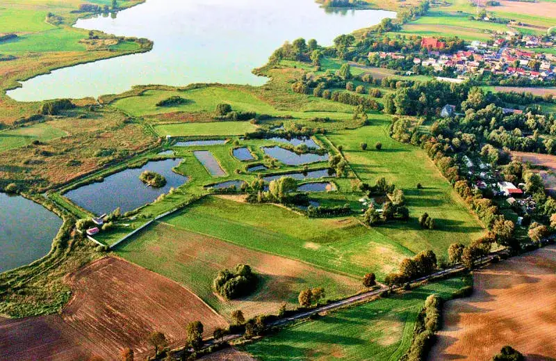 Łowisko złota rybka – najlepsze miejsca na wędkowanie w Polsce