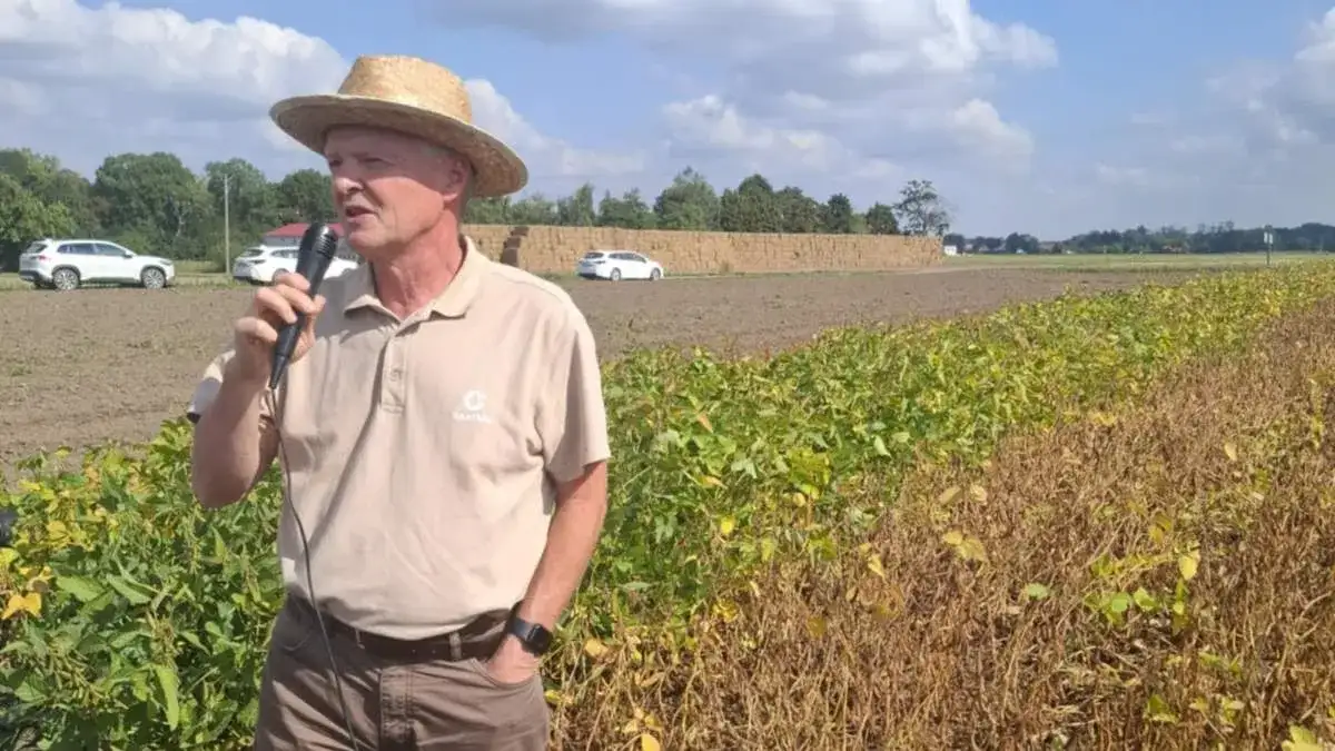 Dopłaty do soi: Jakie są najnowsze zmiany i co warto wiedzieć?