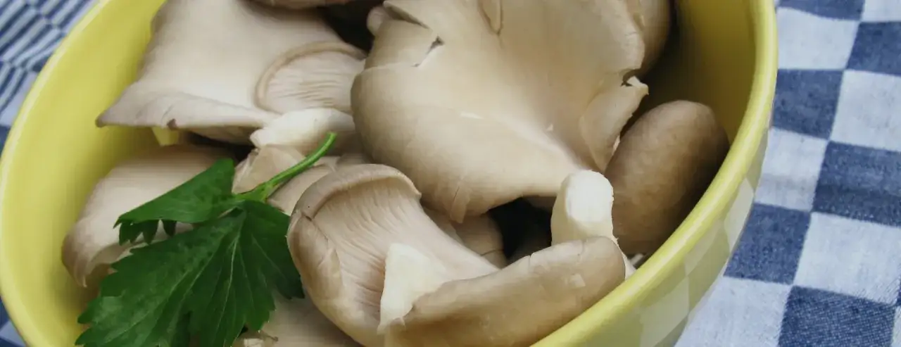 Jak uprawiać boczniaki w domu - proste sposoby na sukces w hodowli