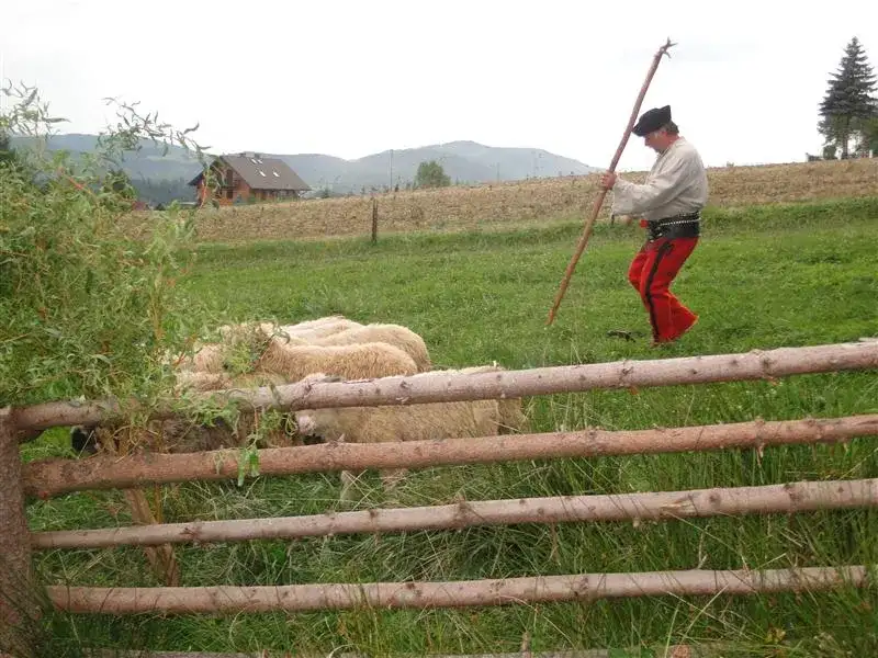 Bacówka u Harnasia: Niezapomniane doświadczenia i tradycyjna kuchnia