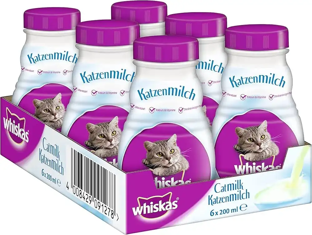 Jakie mleko dla kota będzie bezpieczne: najlepsze i szkodliwe rodzaje