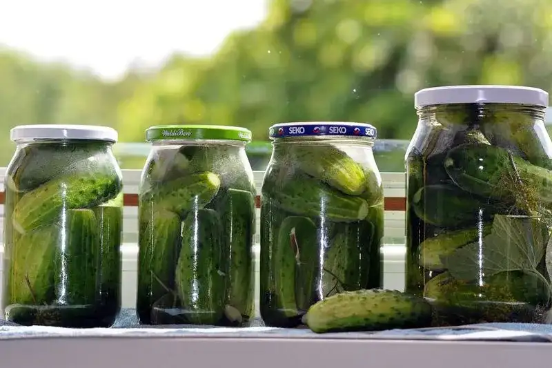 Jakie przyprawy do ogórków konserwowych, by uzyskać idealny smak?