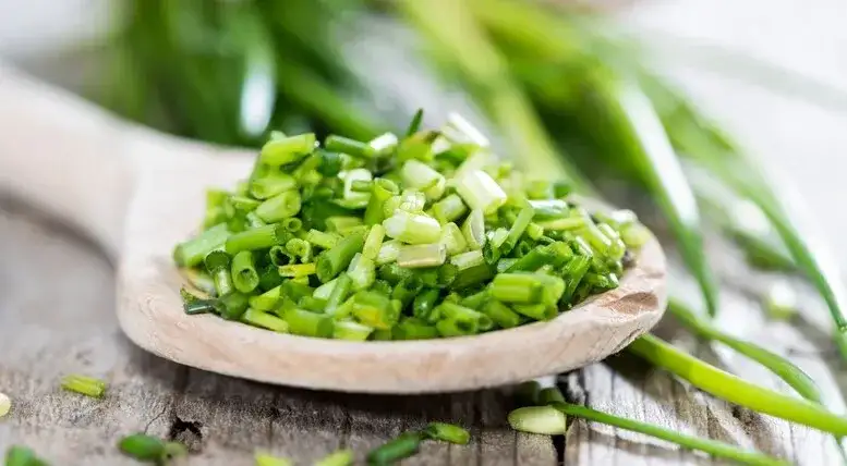 Jak mrozić szczypiorek, aby zachować jego świeżość na dłużej