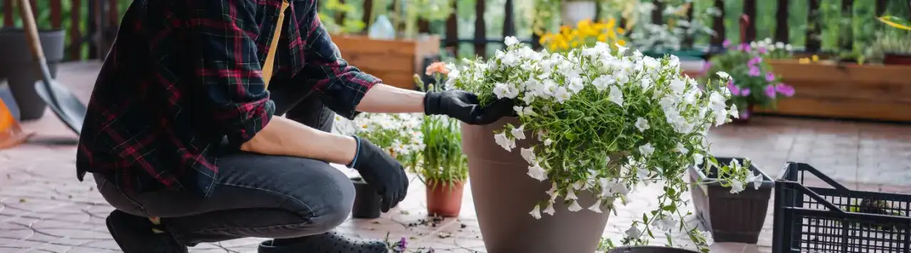 Jakie kwiaty do wysokich donic na taras – najlepsze rośliny na balkon