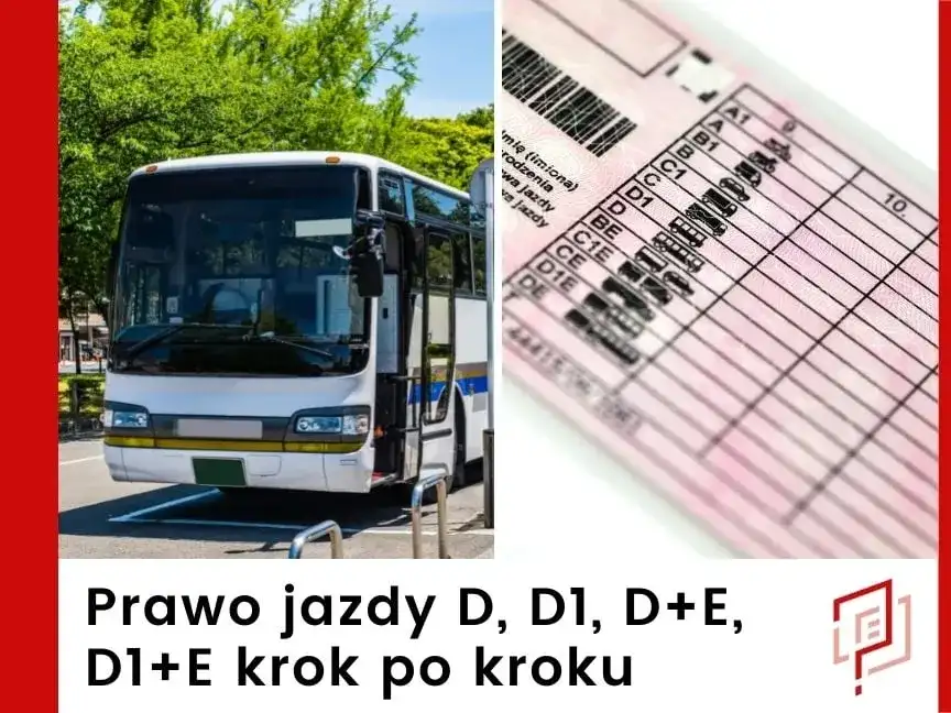 Jakie prawo jazdy na autobus? Kluczowe różnice i wymagania, które musisz znać