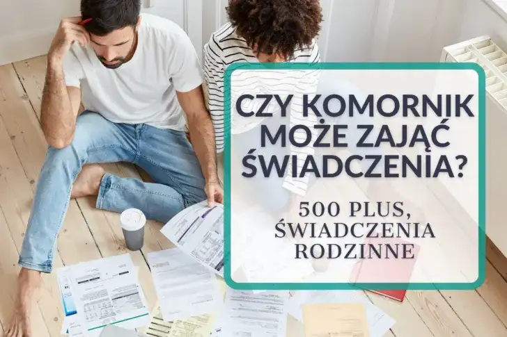 Czy komornik może zająć pożyczkę? Sprawdź, jak chronić swoje środki przed egzekucją